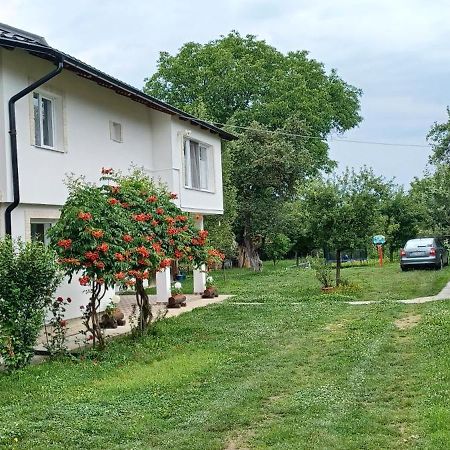 Casa Pandrea Guest House Cartisoara Luaran gambar