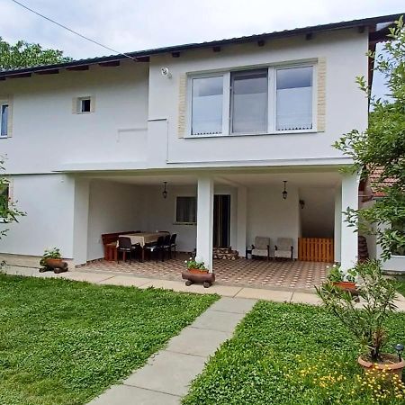 Casa Pandrea Guest House Cartisoara Luaran gambar