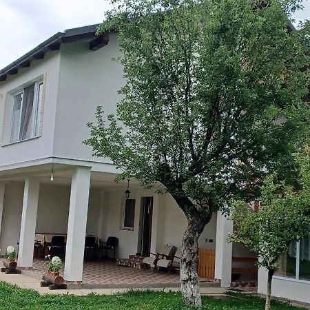 Casa Pandrea Guest House Cartisoara Luaran gambar