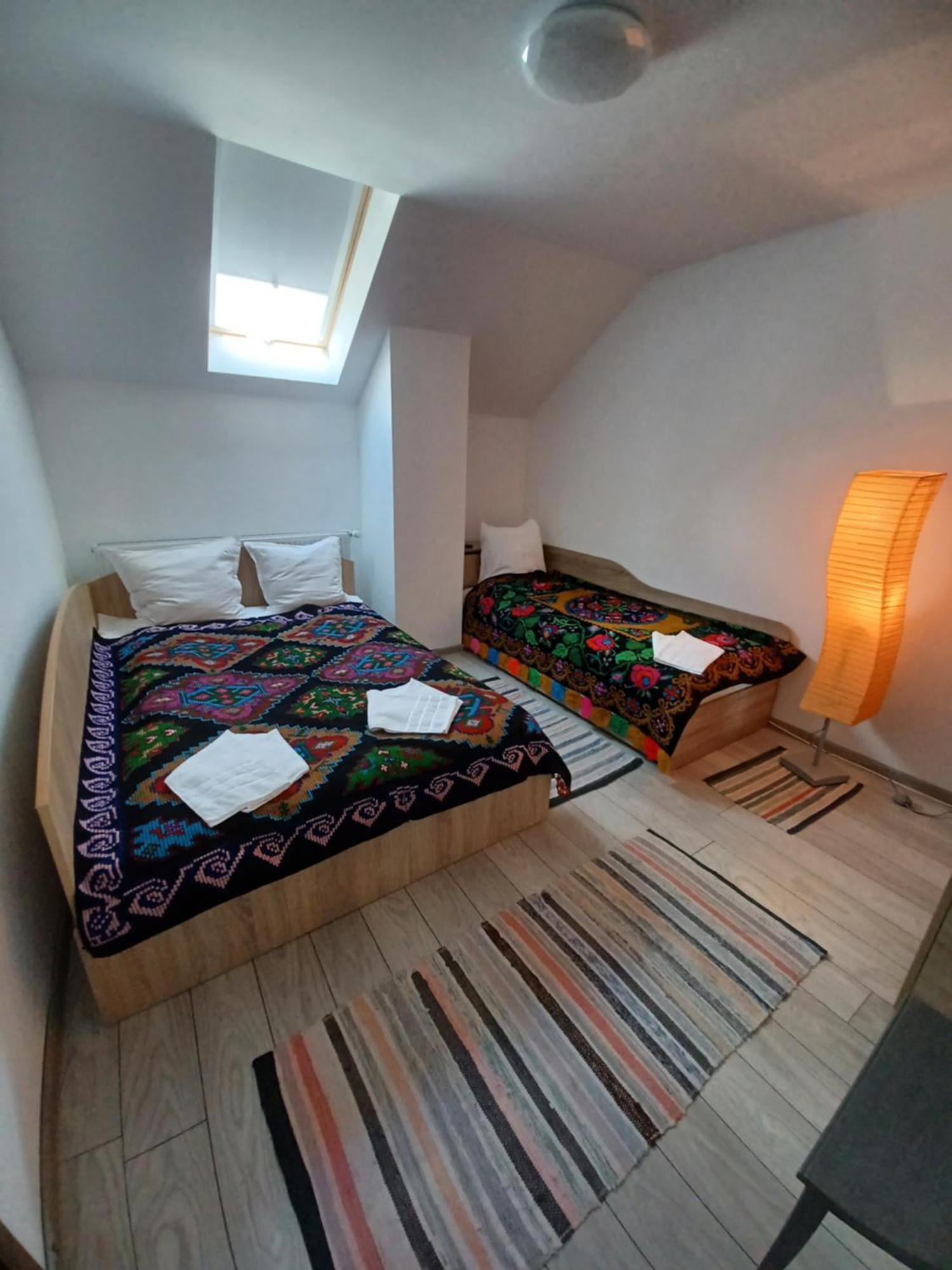 Casa Pandrea Guest House Cartisoara Luaran gambar