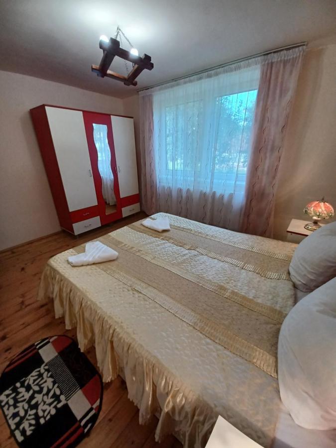 Casa Pandrea Guest House Cartisoara Luaran gambar