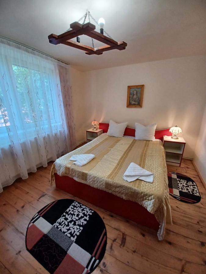 Casa Pandrea Guest House Cartisoara Luaran gambar