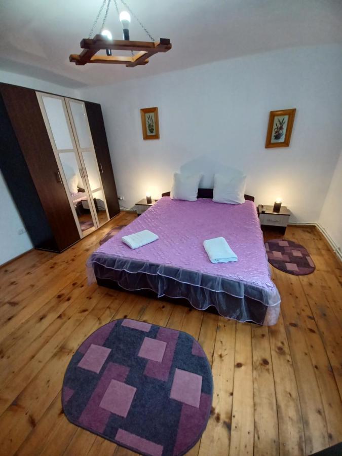 Casa Pandrea Guest House Cartisoara Luaran gambar