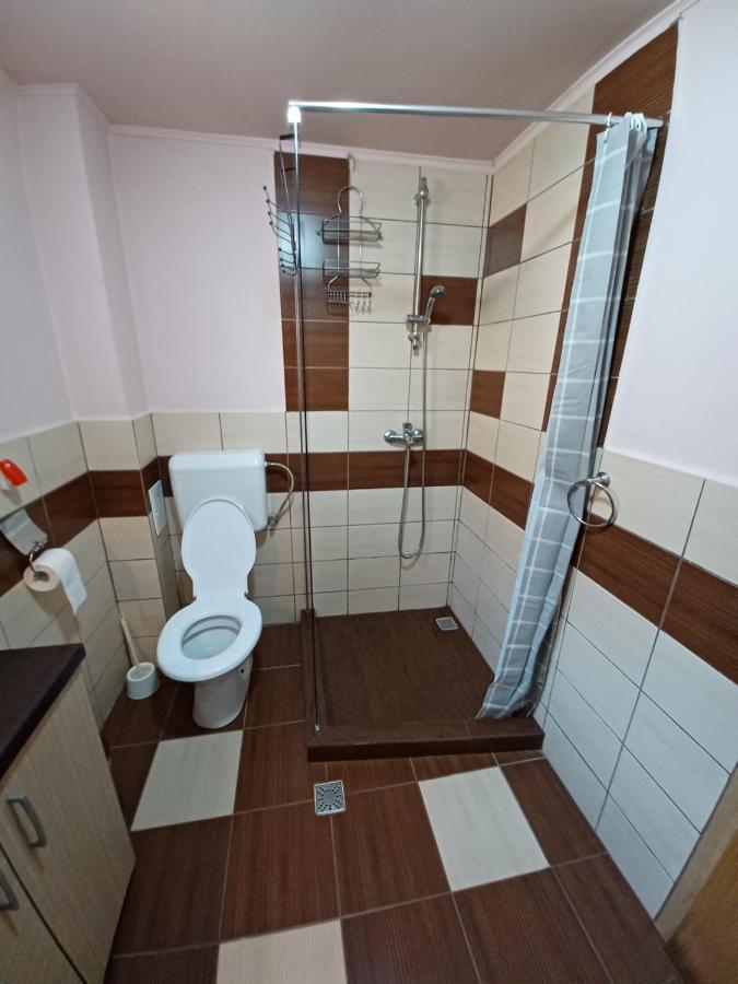 Casa Pandrea Guest House Cartisoara Luaran gambar