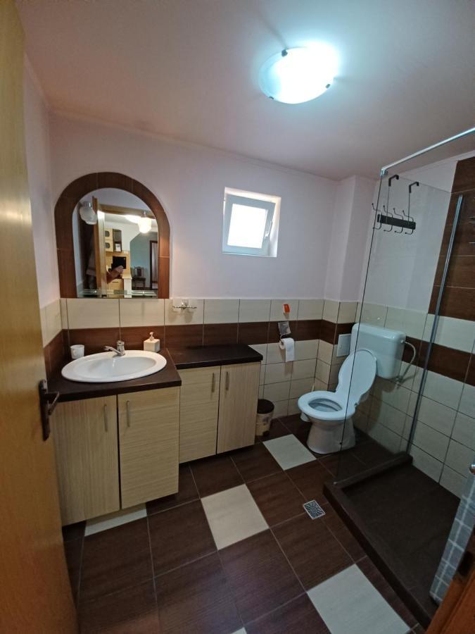 Casa Pandrea Guest House Cartisoara Luaran gambar