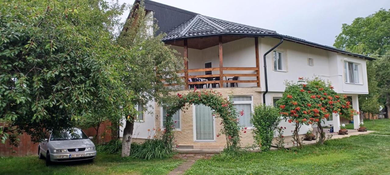 Casa Pandrea Guest House Cartisoara Luaran gambar