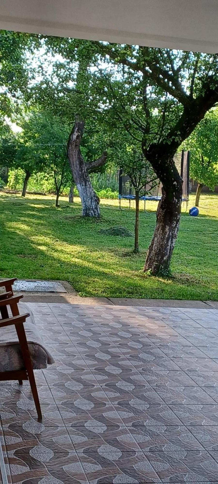Casa Pandrea Guest House Cartisoara Luaran gambar