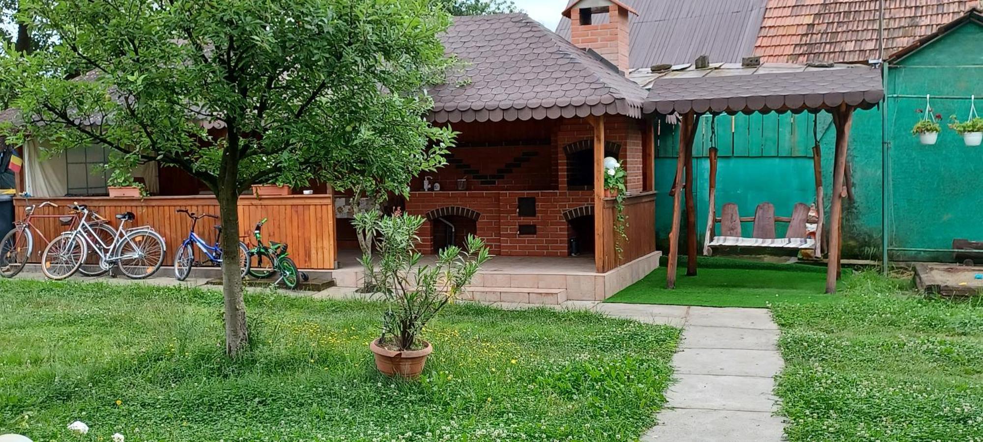 Casa Pandrea Guest House Cartisoara Luaran gambar
