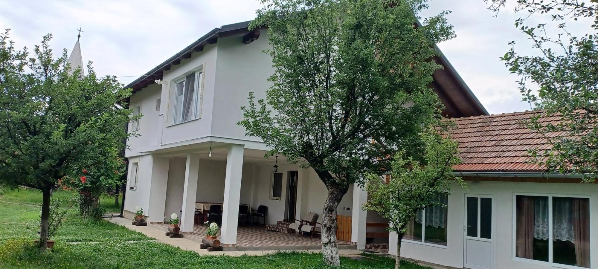 Casa Pandrea Guest House Cartisoara Luaran gambar